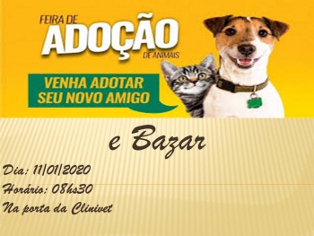AINDA EM GUANHÃES: Próximo sábado tem Feira de Adoção de animais de rua