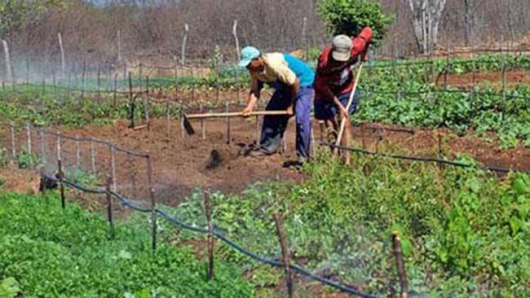 Agricultura familiar: CENIBRA apoia feirantes de Rio Vermelho