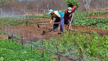 Agricultura familiar: CENIBRA apoia feirantes de Rio Vermelho