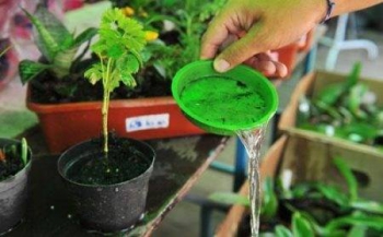 Prefeitura de Guanhães desmente roubos de uniformes da dengue