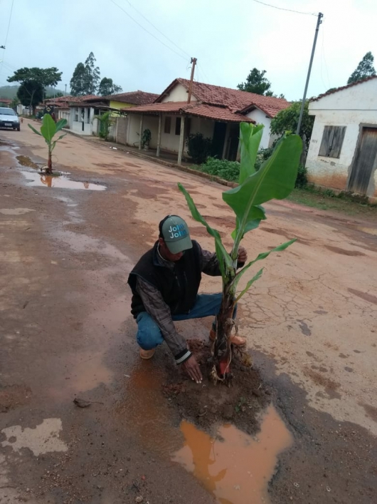 Moradores de Correntinho decidem plantar bananeiras para tampar os buracos nas ruas do distrito