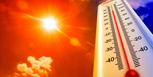 Dias quentes exigem cuidados redobrados com a saúde e a alimentação
