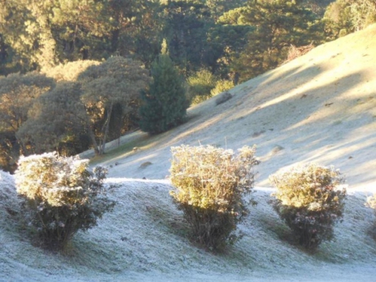 RECORDE DE FRIO: Minas 0ºC! Monte Verde registra a menor temperatura do ano no Estado