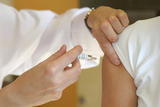 Vacinação é a principal estratégia para conter o surto de febre amarela