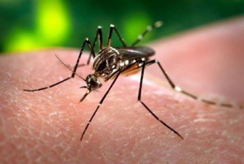 BALANÇO INÉDITO: Minas é o 2º Estado com mais casos de zika, diz ministério