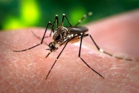 BALAN&Ccedil;O IN&Eacute;DITO: Minas &eacute; o 2&ordm; Estado com mais casos de zika, diz minist&eacute;rio
