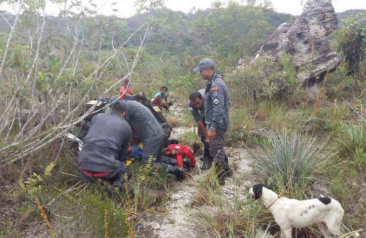 Homem morre após ser atacado por tamanduá na zona rural de Diamantina