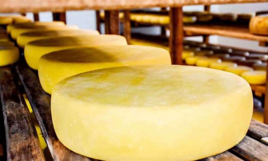 Diamantina busca reconhecimento como produtora de queijo minas artesanal