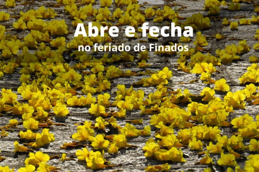 Confira o que abre e fecha no feriado de Finados em Guanhães
