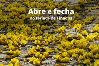 Confira o que abre e fecha no feriado de Finados em Guanhães
