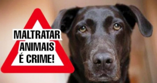 Homem é preso por maus tratos a animais em Coluna