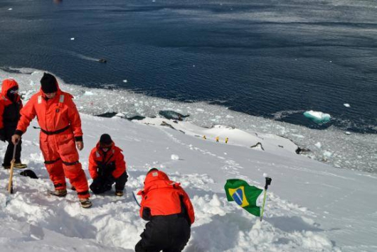 Cientistas mineiros estudam fungos da Antártica em busca de medicamento contra dengue