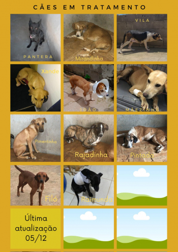 SOLIDARIEDADE PET: Ajude a ONG Pets de Rua Guanhães a ajudar! Saiba como!