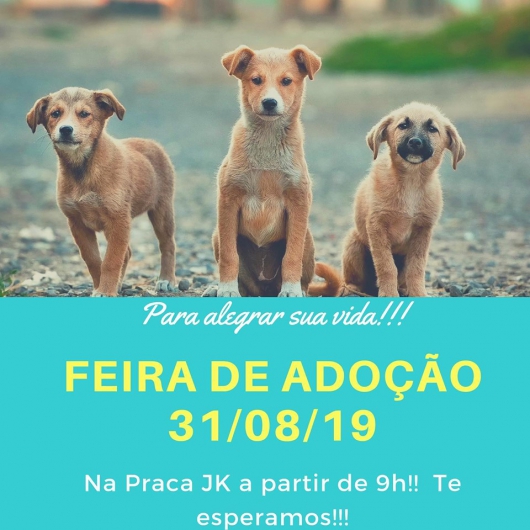 Neste sábado tem Feira de Adoção na Praça JK! Adote um vira-lata!