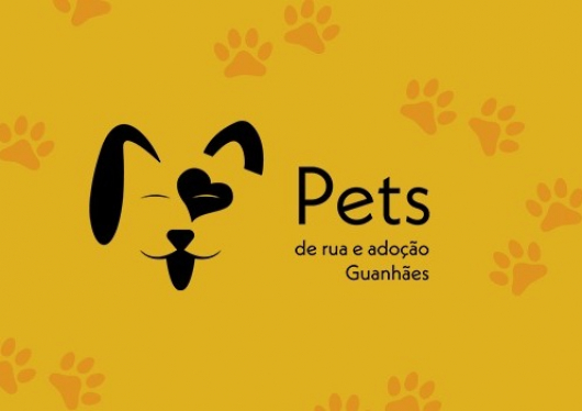 Por falta de recursos, ONG Pets de Rua Guanhães suspende temporariamente resgaste de animais