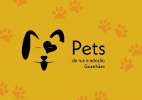Por falta de recursos, ONG Pets de Rua Guanhães suspende temporariamente resgaste de animais