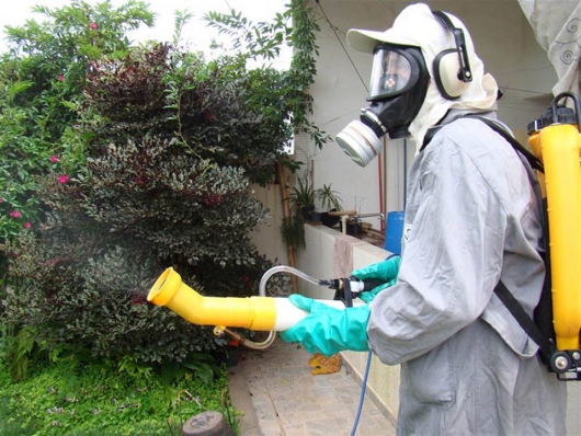 Conceição do Mato Dentro realiza operação de combate aos focos do mosquito da dengue