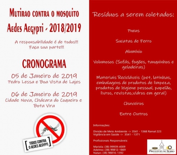 Serro realiza Coleta do Mutirão contra o mosquito Aedes Aegypti