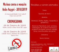 Serro realiza Coleta do Mutirão contra o mosquito Aedes Aegypti