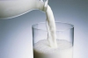 CIÊNCIA: Estudante desenvolve projeto para ajudar quem tem intolerância à lactose