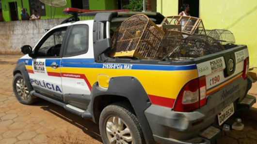 Polícia Militar resgata pássaros em Santa Maria do Suaçuí