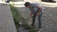 Cansada de ver a rua suja, idosa de 81 anos decide capinar calçada em Guanhães