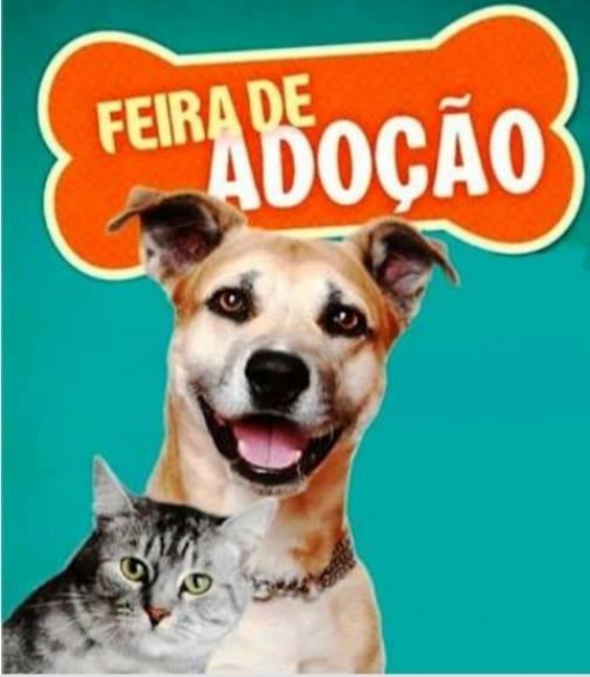 GUANHÃES: Moradora organiza feira de adoção de cães e gatos neste sábado