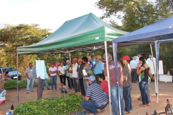 Experimentos atestam adaptabilidade do café conilon em Água Boa e região