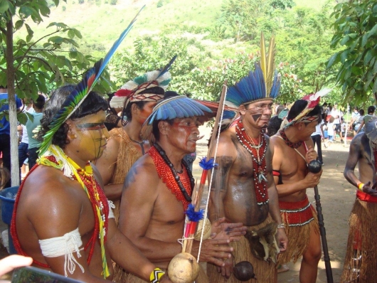 Tribos indígenas de Açucena e Carmésia recebem apoio do Instituto CENIBRA