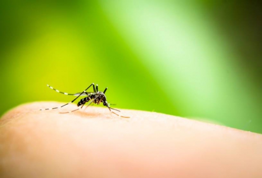 GUANHÃES: Confira quais as localidades vão receber o mutirão contra o Aedes nos próximos dias!