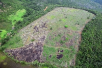 Fiscalização embarga áreas de desmatamento ilegal de Mata Atlântica em Rio Vermelho e outras três cidades