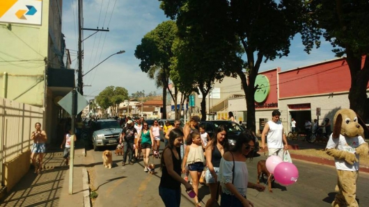 1ª Parada Pet reúne dezenas de cães na Praça JK