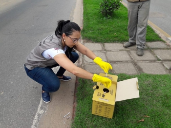 Vigilância Sanitária de Guanhães registra exposição de resíduos pérfurocortantes na Av. Milton Campos