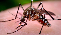 VERÃO: Secretaria de Saúde alerta sobre os cuidados no combate ao Aedes aegypti
