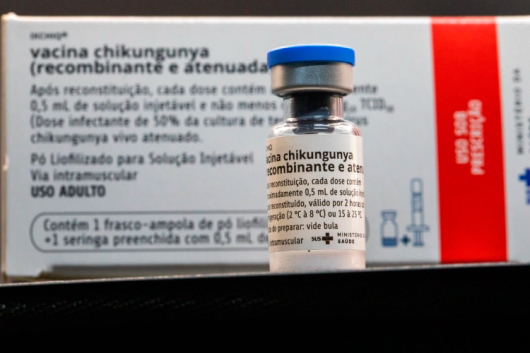 Butantan vai produzir vacina nacional contra chikungunya
