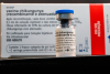 Butantan vai produzir vacina nacional contra chikungunya