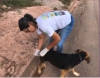 Pet Imune &eacute; Pet Saud&aacute;vel: ONG Pets de Rua e Ado&ccedil;&atilde;o Guanh&atilde;es adquire 150 doses da vacina importada