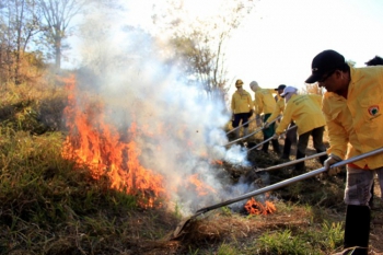 288 VAGAS: Governo do Estado contrata brigadistas de prevenção e combate a incêndios