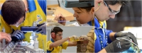 Sete estudantes mineiros do Pronatec ganham medalhas na WorldSkills Competition