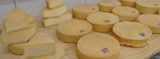 SERRO: Pesquisas aprimoram queijo artesanal mineiro