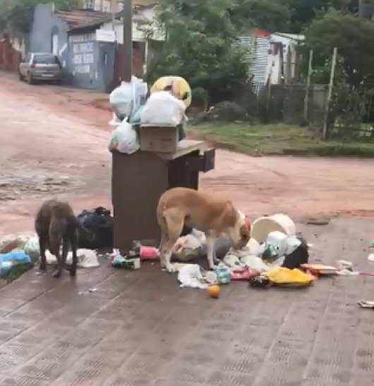 Cidadãos reclamam sobre sujeira de lixo na rua Alcindo Pereira esquina com Salatiel Nunes e pedem conscientização aos moradores daquela localidade