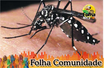 Guanhães: Dia D de combate ao mosquito transmissor da Dengue, Chikungunya e Zika será realizado nesta sexta