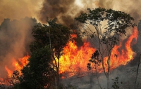 Brasil enfrenta pior onda de incêndios em sete anos
