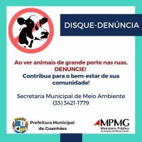 Prefeitura de Guanhães e MPMG firmam acordo para solucionar problemas dos animais de grande porte nas ruas