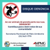 Prefeitura de Guanh&atilde;es e MPMG firmam acordo para solucionar problemas dos animais de grande porte nas ruas