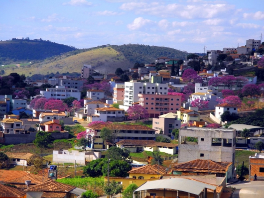 A MAGIA DOS IPÊS: Ipês rosa colorem o inverno no bairro Jardins e encantam moradores de Guanhães