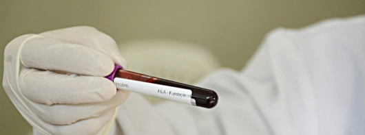 Governo de Minas passa a disponibilizar resultados de exames dos doadores de sangue no MG App