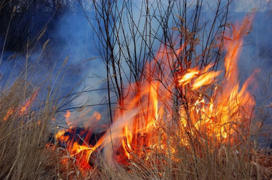 QUEIMADAS: Defesa Civil de Guanhães é acionada diariamente para combate de incêndios criminosos