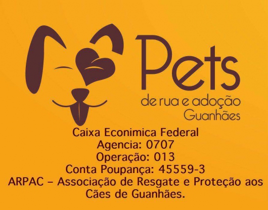 ONG Pets de Rua e Adoção Guanhães conta com ajuda da população para custear o tratamento de inúmeros cães da cidade