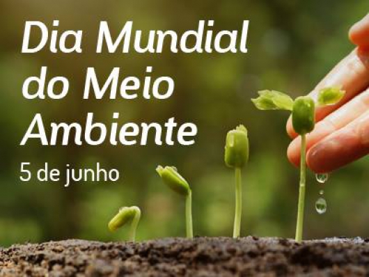 Poluição plástica é tema do Dia Mundial do Meio Ambiente 2018